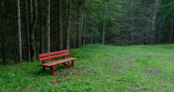 Red wooden bench in the forest. Dolomites. Italy.