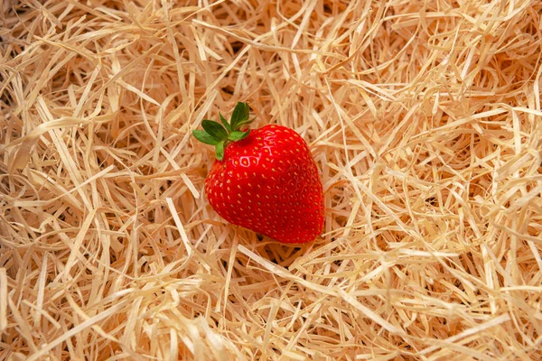 Reife Erdbeeren Liegen Auf Holzspänen — Stockfoto