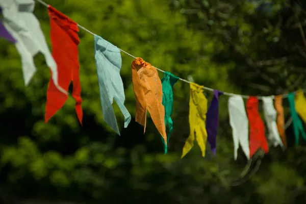 Banderas de la Fiesta de Junio — Foto de Stock