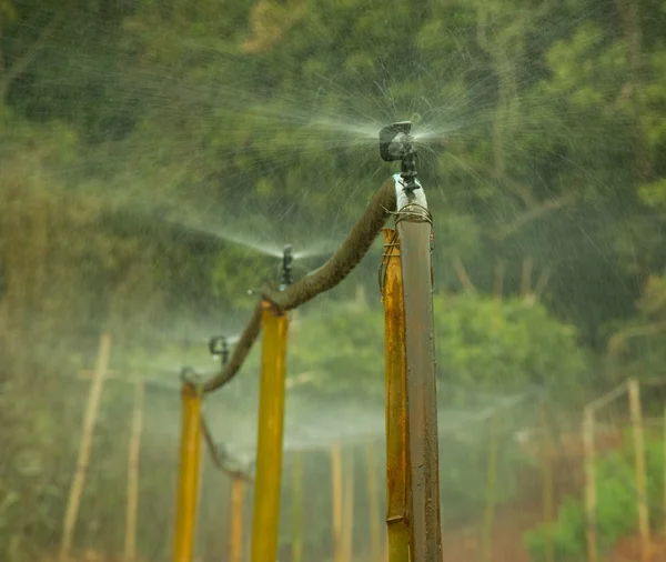 Derde wereld irrigatiesysteem — Stockfoto
