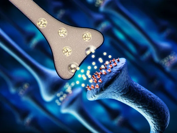 Illustration Brain Neurons Illustration — Stock Photo, Image