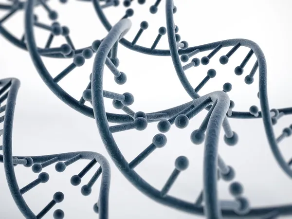 DNA-strengen geïsoleerd op wit — Stockfoto