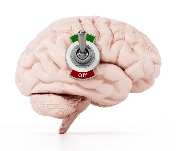 Menselijke Hersenen Met Aan Uit Knop Geïsoleerd Witte Achtergrond Illustratie — Stockfoto
