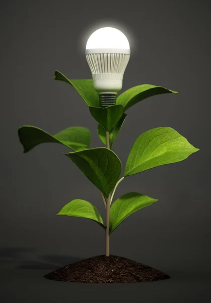 Energy efficient LED lightbulb on plant with green leaves. 3D illustration.