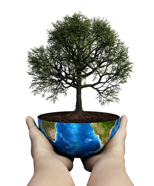 地球上に植えられたオークの木を持つ手 持続可能性の概念 3Dイラスト — ストック写真