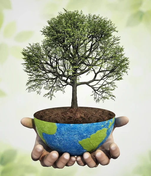 地球上に植えられたオークの木を持つ手 持続可能性の概念 3Dイラスト — ストック写真