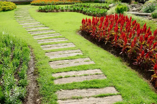Ścieżki w ogrodzie, piękna krajobrazu ogrodnictwo — Zdjęcie stockowe