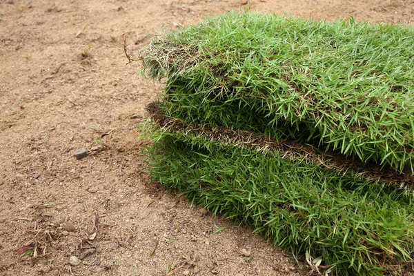 Nova grama, plantando nova grama de sod no jardim — Fotografia de Stock