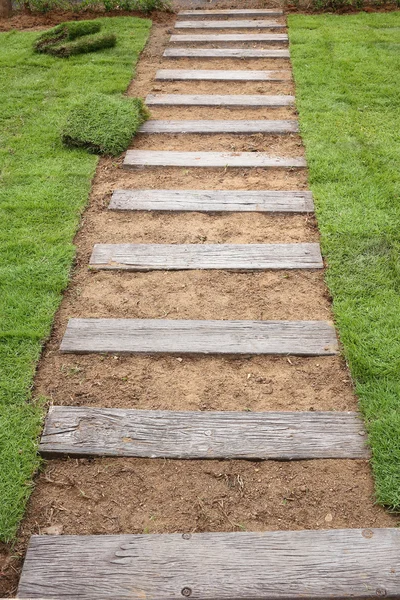 New grass, planting new sod grass in the garden — Stock Photo, Image