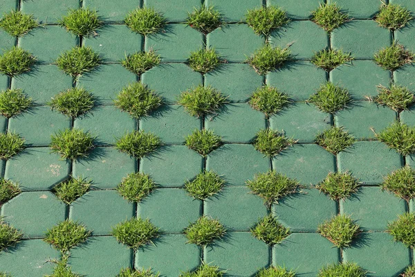 Utformningen av golvet med använda tegel och gräs — Stockfoto