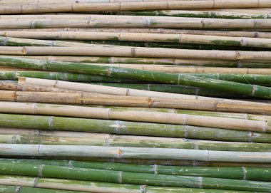 Yeşil Bambu yapımı sanayî için