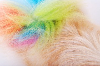 dokulu köpek saç stili renkli kuyruk, hayvan kürk