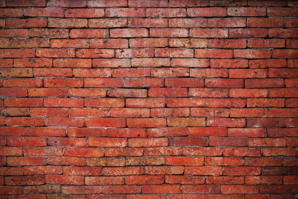 Rote Backsteinmauer Hintergründe — Stockfoto