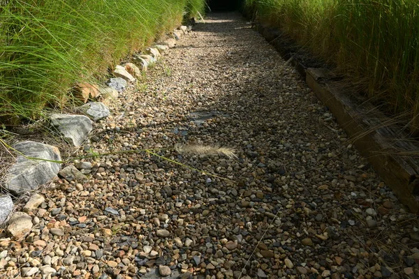 Pasarela Piedra Con Jardín Verde Diseño Exterior — Foto de Stock