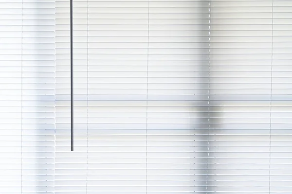 White Curtain Window — Stock Photo, Image