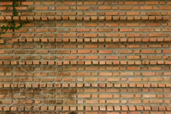 Vuil Blok Interieur Ontwerp Berken Muur Achtergrond — Stockfoto