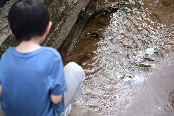 Ein Junge Sucht Bachwasser — Stockfoto