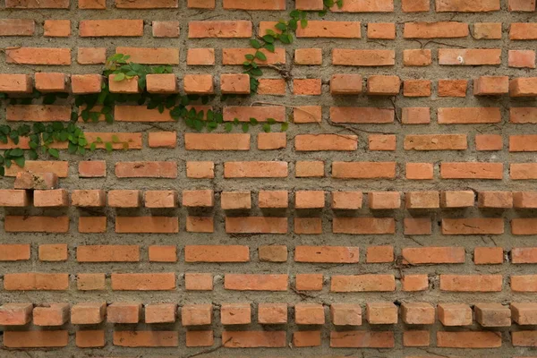 Smutsig Block Inredning Birck Vägg Bakgrund — Stockfoto