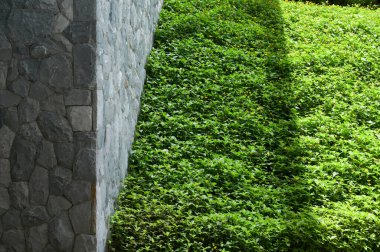 stone wall and street with green garden