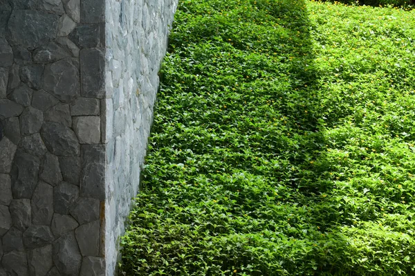 Taş duvar ve yeşil bahçeli sokak