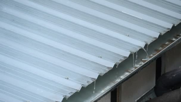 Rainy Season Heavy Rain Water Downpour Roof House — Stock Video
