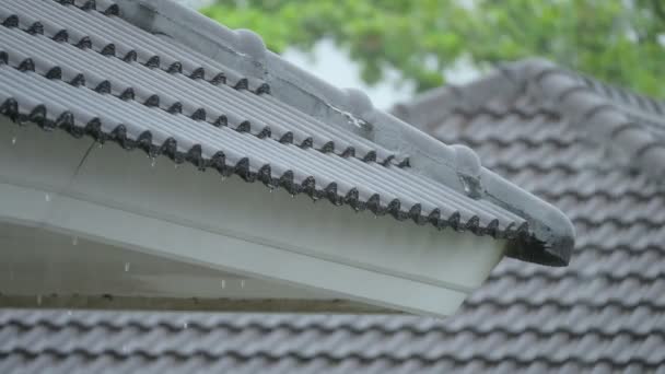 大雨倾泻在房顶上 — 图库视频影像