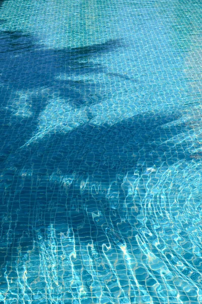 Blue Swimming Pool Shadow Tree Beautiful Background — Zdjęcie stockowe
