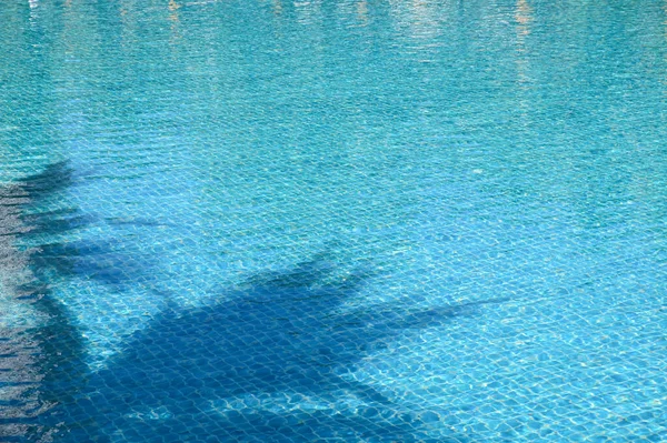 Blue Swimming Pool Shadow Tree Beautiful Background — Stockfoto