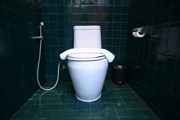 White Flush Toilet Dark Green Wall Interior Design — Stockfoto