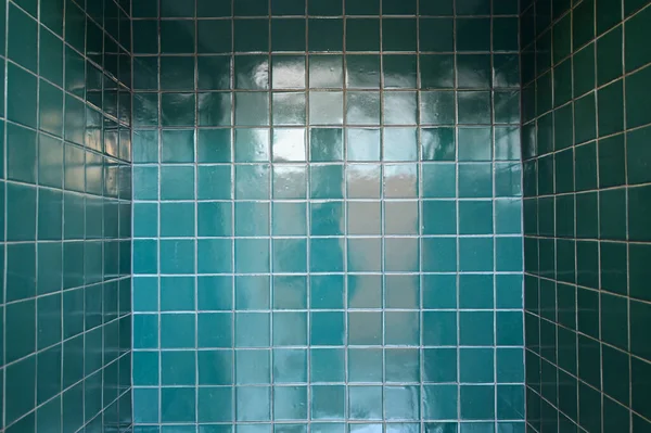 Dark Green Wall Bathroom Interior Design — Foto Stock