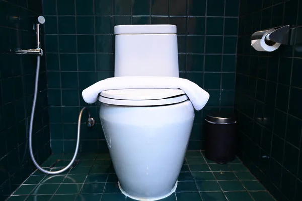 White Flush Toilet Dark Green Wall Interior Design — Stockfoto