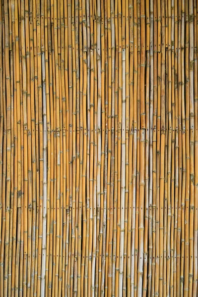 Wooden Bamboo Wall Background Interior Design — Fotografia de Stock