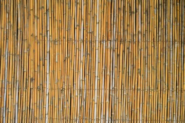 wooden bamboo wall background for interior design