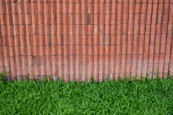 Brown Brick Wall Textured Green Grass — Photo