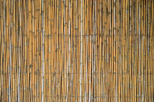 Wooden Bamboo Wall Background Interior Design — Foto Stock