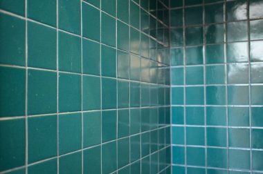 dark green wall bathroom, interior design