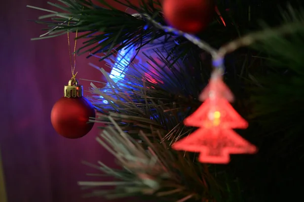 木に吊るされたクリスマス飾り — ストック写真