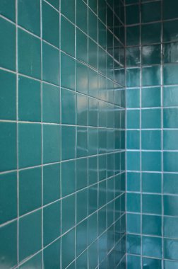 dark green wall bathroom, interior design