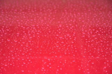 Kırmızı kaputtaki su, ulaşım geçmişi...