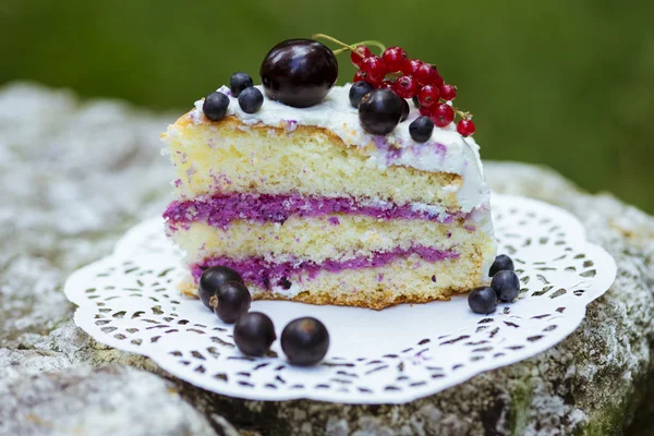 Slice of fresh berry cake — Stock Photo, Image