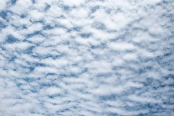 Fluffy altocumulus clouds blanket the sky, creating a textured pattern that conveys a dynamic and ever-changing atmosphere