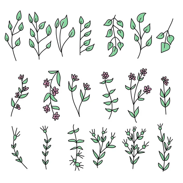 Set Aus Zarten Doodle Zweigen Mit Blättern Und Blüten Zur — Stockvektor