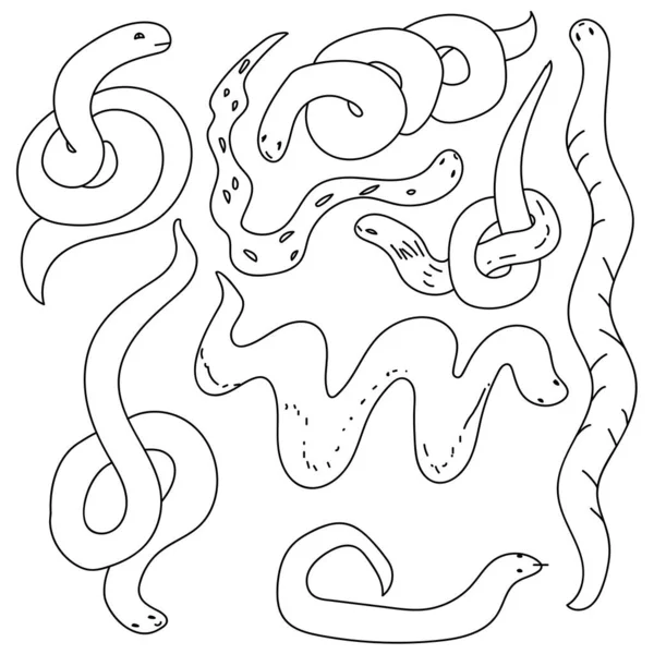 Набор Контуров Змей Простые Линейные Силуэты Рептилий Различных Позах Раскраска — стоковый вектор