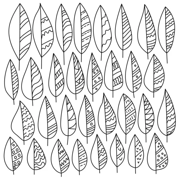 一组带线条 波纹和圆形图案的涂鸦叶 植物的华丽部分 用于设计的禅定抗压彩色页面等高线图 — 图库矢量图片