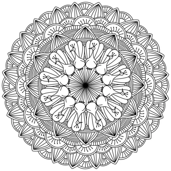 Mandala Contour Avec Oiseaux Gribouillis Page Colorier Avec Paons Divers — Image vectorielle