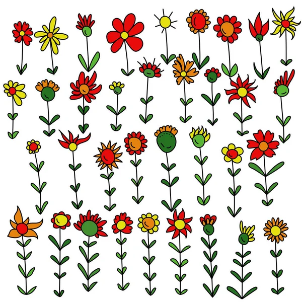 Zestaw Kwiatów Zarys Przetargu Stylu Doodle Kolorowe Rośliny Kwitnące Liści — Wektor stockowy