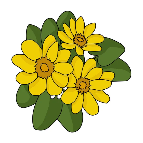 Caltha Bouquet Fleurs Jaunes Avec Des Feuilles Vertes Des Marais — Image vectorielle