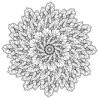 Bitkiler ve böceklerle manadala, meşe yaprakları ve böcek vektör illüstrasyonlu meditasyon sayfası