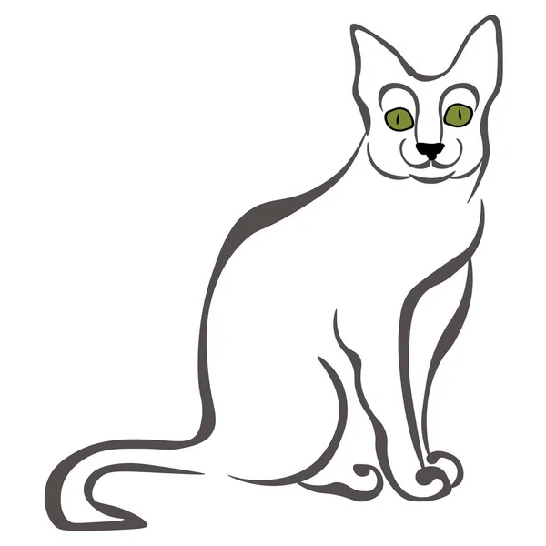 Gato Korat Retrato Estilizado Vector Doméstico Ilustración — Vector de stock