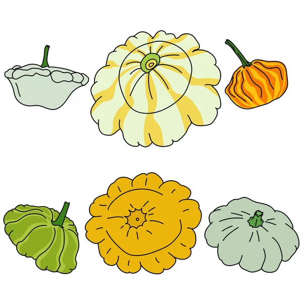 Conjunto Calabazas Útiles Verduras Multicolores Una Forma Redonda Vector Ilustración — Archivo Imágenes Vectoriales